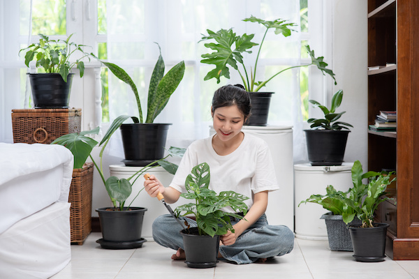 植物部屋| 趣味部屋専家